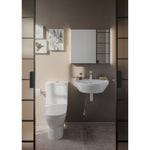 Vitra 110-003-009 Integra_Small_Bathroom_vertical___Integra_K_k_Banyo_dikey_2019_05_3354d0bd4f773fdc8376431f8cbf3d484db6a219-5.jpg