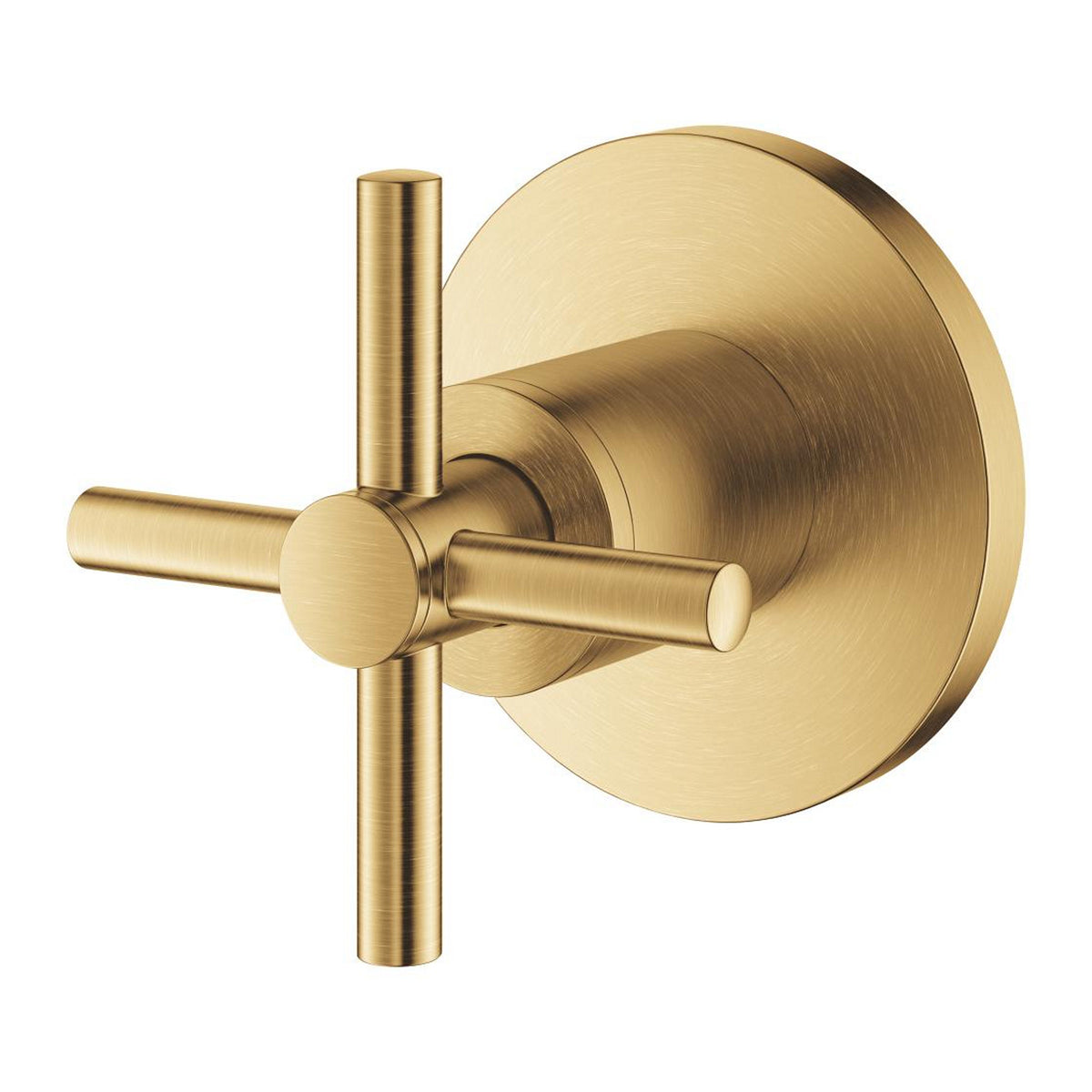 Grohe Atrio Ankastre Stop Valf (Sıva Üstü Grubu), Fırçalı Altın - Ürün Görseli
