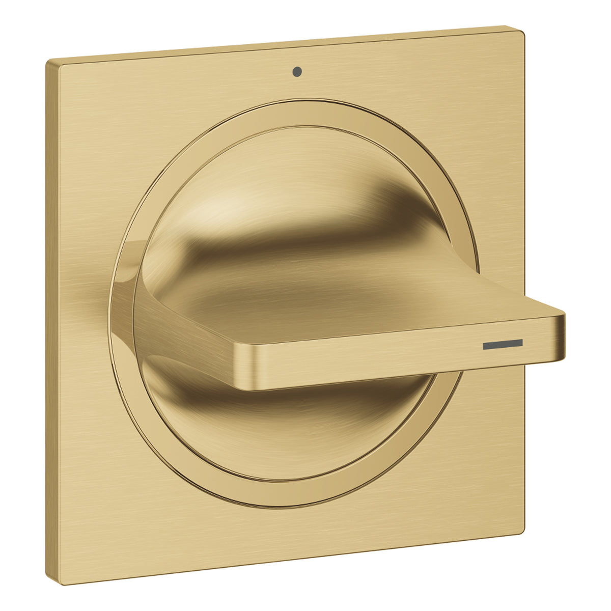 Grohe Allure Ankastre Stop Valf (Sıva Üstü Grubu), Fırçalı Altın - Ürün Görseli