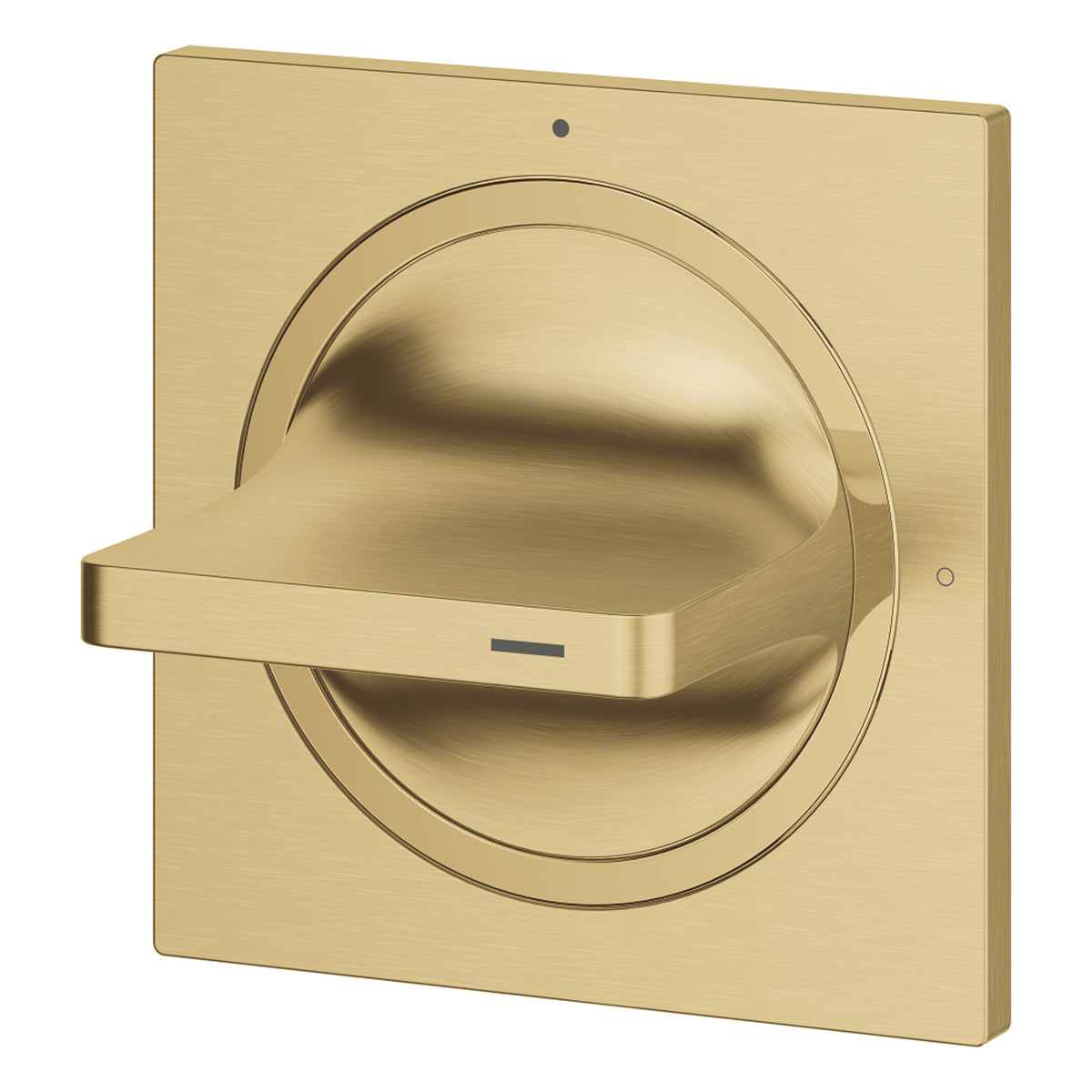 Grohe Allure Ankastre Stop Valf (Sıva Üstü Grubu), Fırçalı Altın - Ürün Görseli