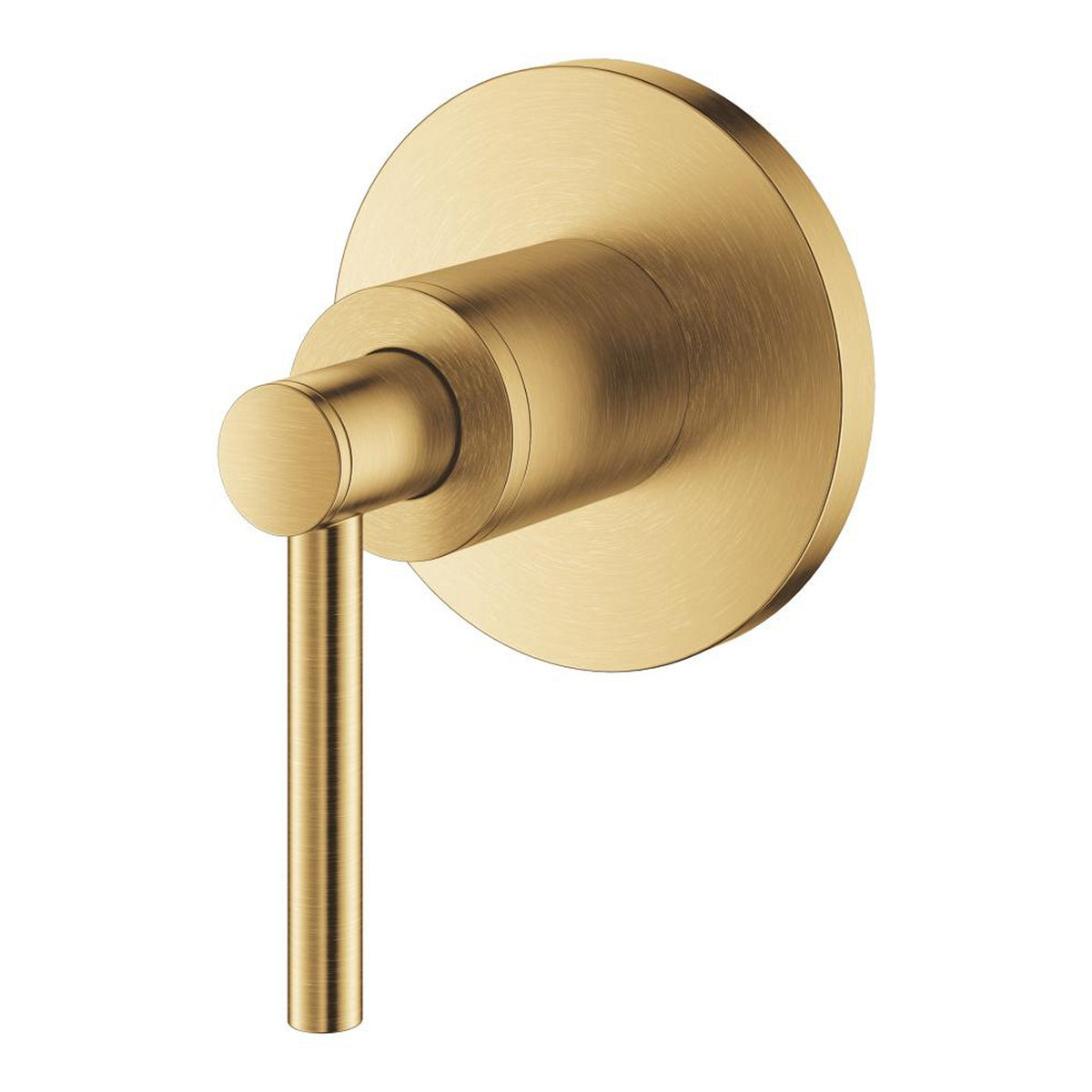 Grohe Atrio Ankastre Stop Valf, Çubuk Volan (Sıva Üstü Grubu), Fırçalı Altın - Ürün Görseli