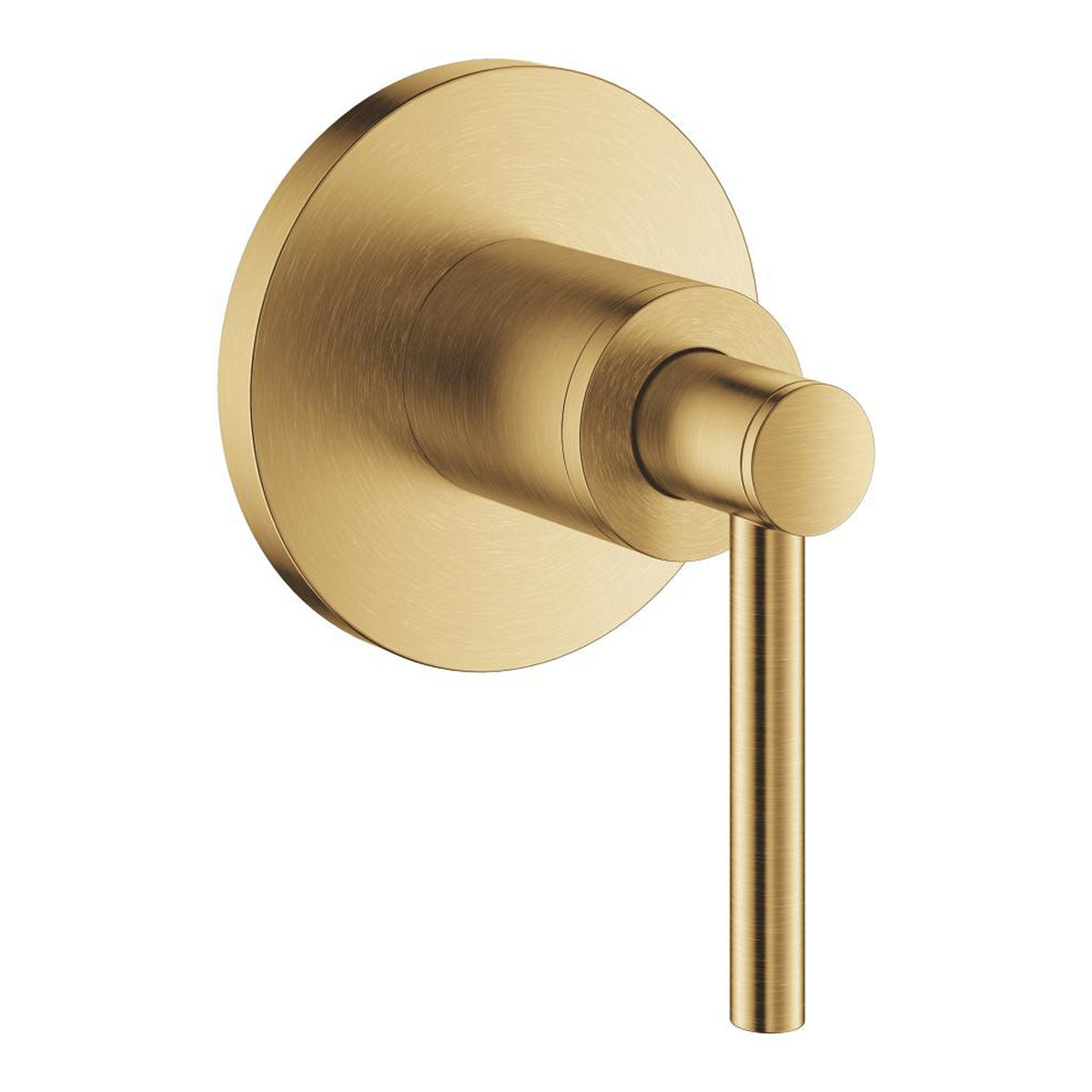 Grohe Atrio Ankastre Stop Valf, Çubuk Volan (Sıva Üstü Grubu), Fırçalı Altın - Ürün Görseli