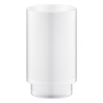 Grohe Selection Diş Fırçalık Camı - Ürün Görseli
