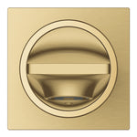 Grohe Allure Çıkış Ucu, Fırçalı Altın - Ürün Görseli